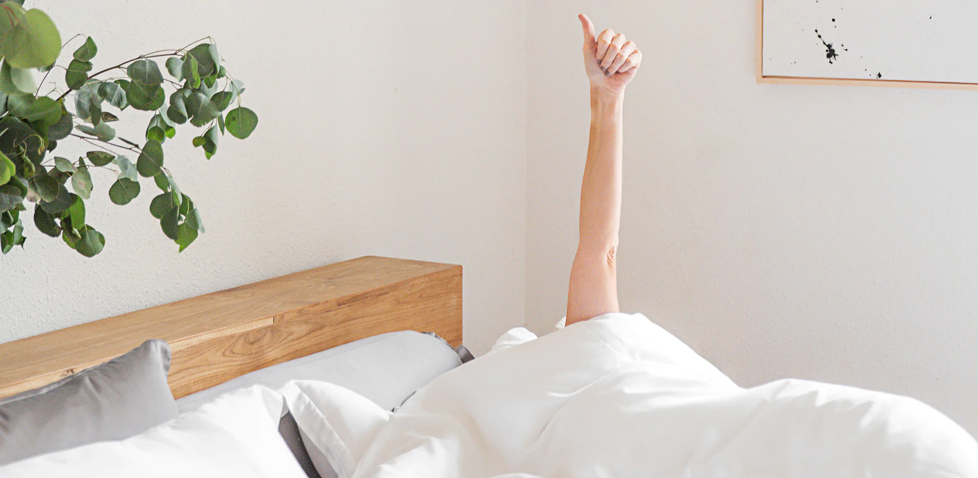 Top 15 Myths About Sleep