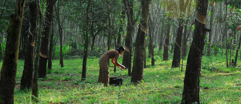 Your guide to living a more sustainable life at home in 2025