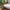 Heveya® Organic Duvet