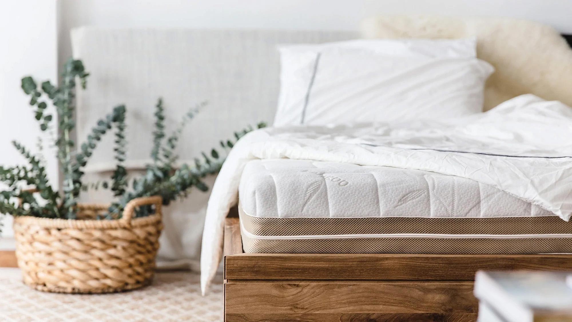 Which Mattress To Buy? Mattress Buying Guide