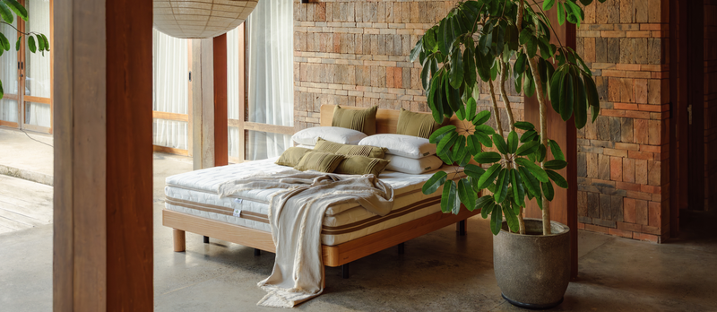 لماذا الراحة مهارة من مهارات الجهاز العصبي: حوار مع كونستانز فيتزل